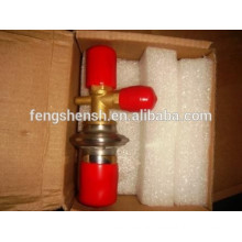 expansion valve hot gas